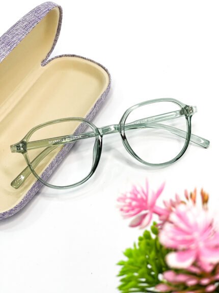 Elegant Transparent Round Eyeglasses